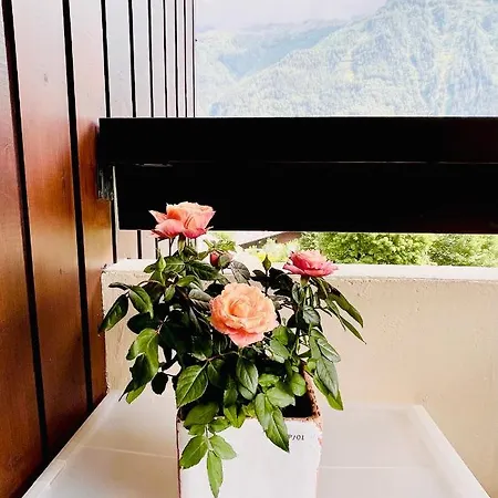 Breverly Hills Apartment