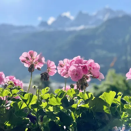 Breverly Hills Chamonix